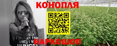 прущие крисы Ипатово