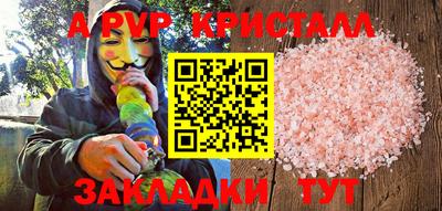 шишки Изобильный