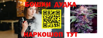шишки Изобильный
