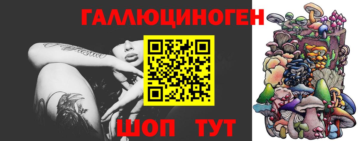 Волоколамск  где купить наркотик  Вход с VPN  Псилоцибиновые грибы мухоморы 