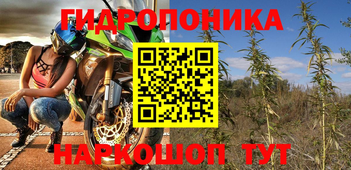 Каннабис Amnesia Волоколамск